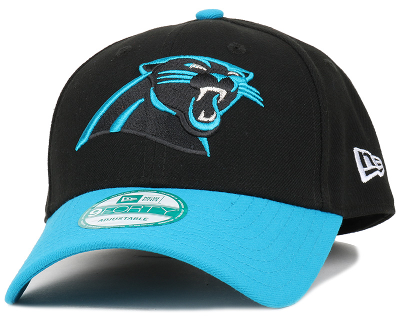 panthers team panthers team